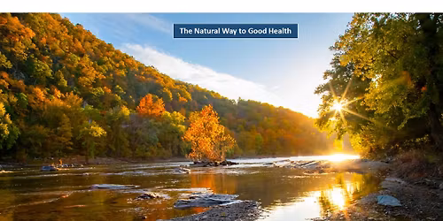 Rooted & Resilient: Herbs for Stress, Mood & Nervous System Health