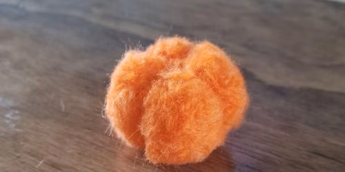 September 2026 Monthly Guild Meeting - Beginner Needlefelting