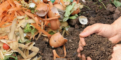 Gardening Workshop \u2014 Composting