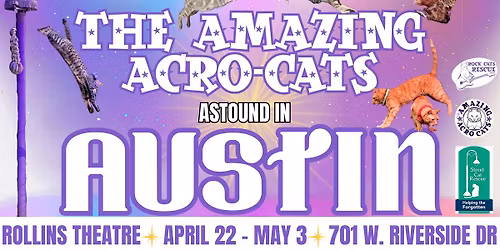 The Amazing Acro-Cats Astound in Austin!