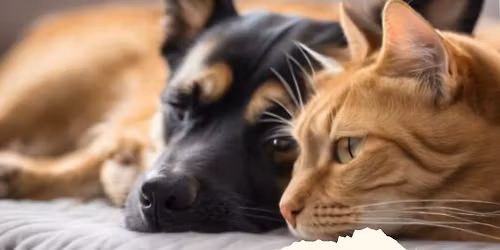 Petsense Adopt-A-Thon and Market