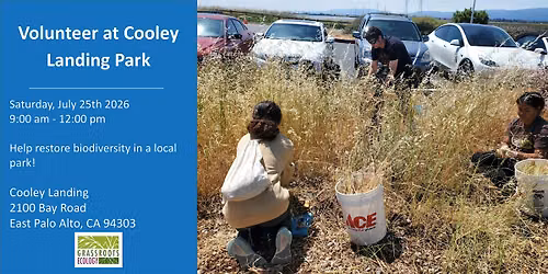 Volunteer Outdoors in East Palo Alto at Cooley Landing