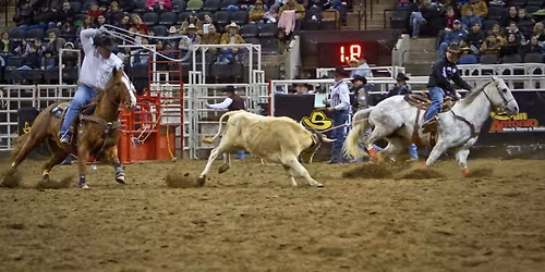 San Antonio Stock Show and Rodeo - Saturday
