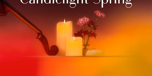 Candlelight: Tribute to Zara Larsson