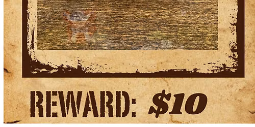 WANTED: Uncle Sam $10 Reward