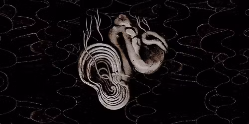 VOX CORPORIS - jednodniowy pokaz instalacji d\u017awi\u0119kowej Micha\u0142a Garbacza i Zuzy Henclik