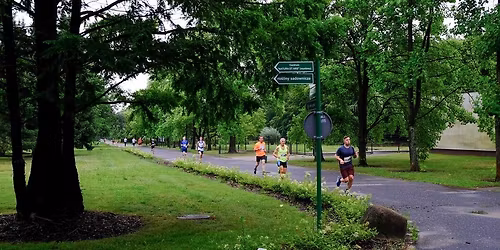 Botaniczna Pi\u0105tka Warszawa - edycja wiosenna