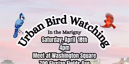 Urban Bird Watching in the Marigny
