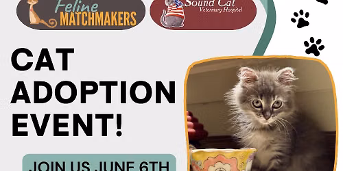 Kitty Adoption Event