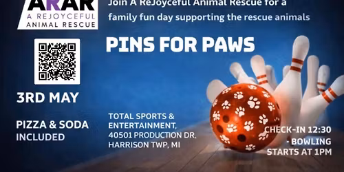 Pins for Paws