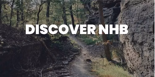 Discover NHB