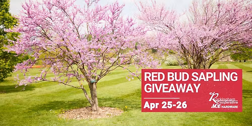 Red Bud Sapling Arbor Day Weekend Giveaway