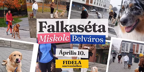 \ud83d\udc15\u200d\ud83e\uddba BELV\u00c1ROSI FALKA S\u00c9TA \u2013 MISKOLC