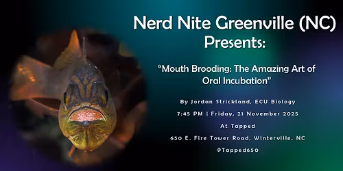 Nerd Nite Greenville
