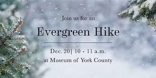 Evergreen Hike