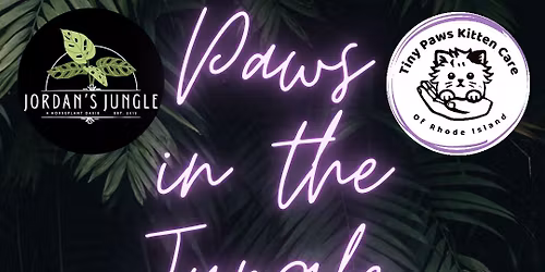 Paws in the Jungle