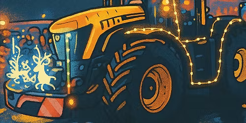 Light Up Limerick 2025