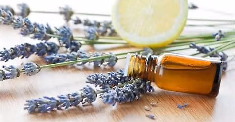 New Mothers Support Group