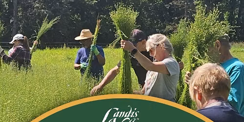 Summer Institute: Flax: From Field to Fabric