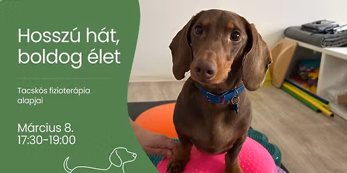 Hossz\u00fa h\u00e1t, boldog \u00e9let: Tacsk\u00f3s fizioter\u00e1pia alapjai 2. alkalom