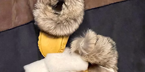 Traditional Moccasins