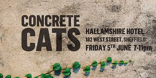 Concrete Cats EP Launch Night