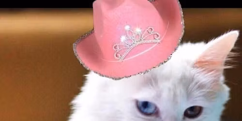 Mad Kitty @ Busky\u2019s Chill and Grill