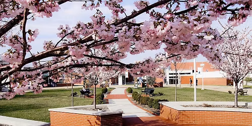 Court House Tour and discussion on Domestic Violence Proceedings