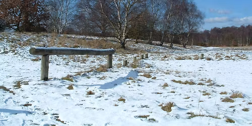 Christmas Eve Guided Walk 