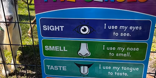 The Five Senses Story Time with ASL for Children With Goats