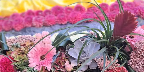 Warrion Flower Show Taste of the Shire Evening Meal 