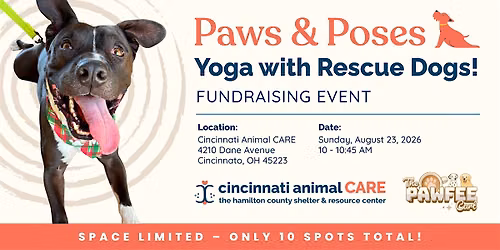 Paws & Poses: Yoga with Rescue Dogs at Cincinnati Animal CARE!