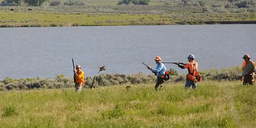 Black Hills NAVHDA Training Day