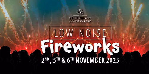 Low Noise Fireworks @ Old Down Country Park