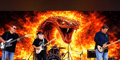 The Big Snake Band