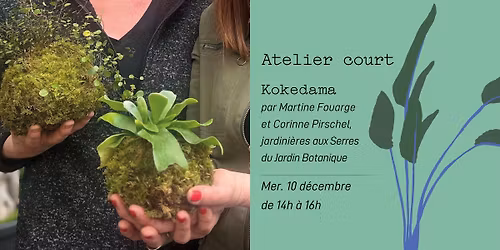 Atelier Kokedama