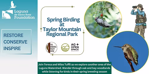 Spring Birding at Taylor Mountain Regional Park