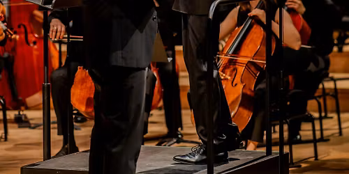 Carte blanche de Mathieu Herzog - Orchestre Albatros