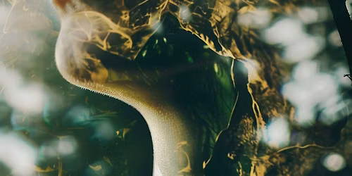 UNSHAMED: A Couples Retreat
