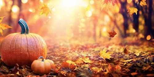 Harvest Festival