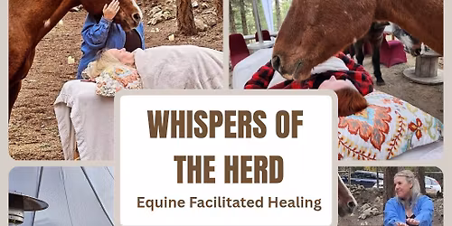 Whispers of the Herd