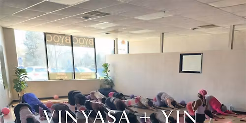 VINYASA + YIN FLOW