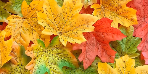 November PTA meeting