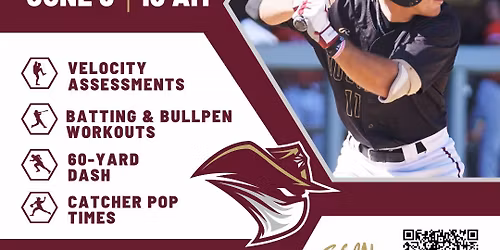 Dustdevil Baseball Prospect Camp I