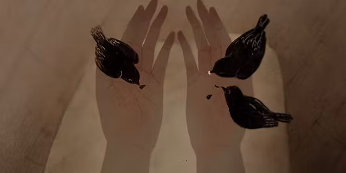 Galway screening of EUNIC Ireland's annual \ud83c\udfacShort Shorts\ud83c\udfac film festival