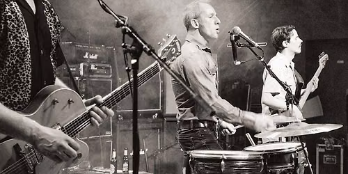 The Ants (hal) Roots*Rock'n'Roll*Surf