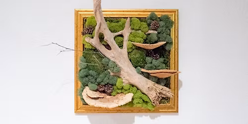 Moss Wall Art in Gold Frame Workshop (13.5"x13.5")