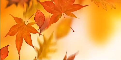 Titusville Senior Resource Day Part Two