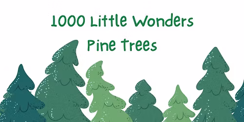 1000 Little Wonders - Pine Trees