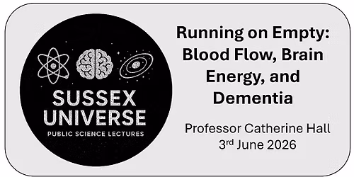 Running on Empty: Blood Flow, Brain Energy, and Dementia